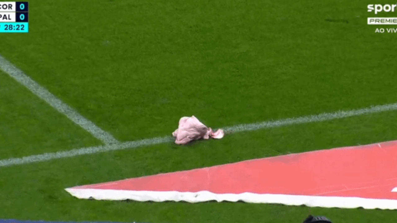 Torcedores do Corinthians jogam cabeça de porco no gramado durante clássico contra o Palmeiras