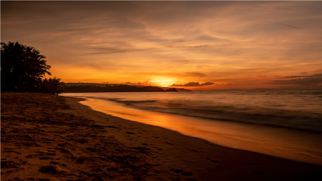Reflexão Do Dia: “Não temas, pois estou contigo” - Isaías 41:10